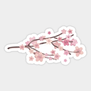 Pink Cherry Blossom Branch Sticker